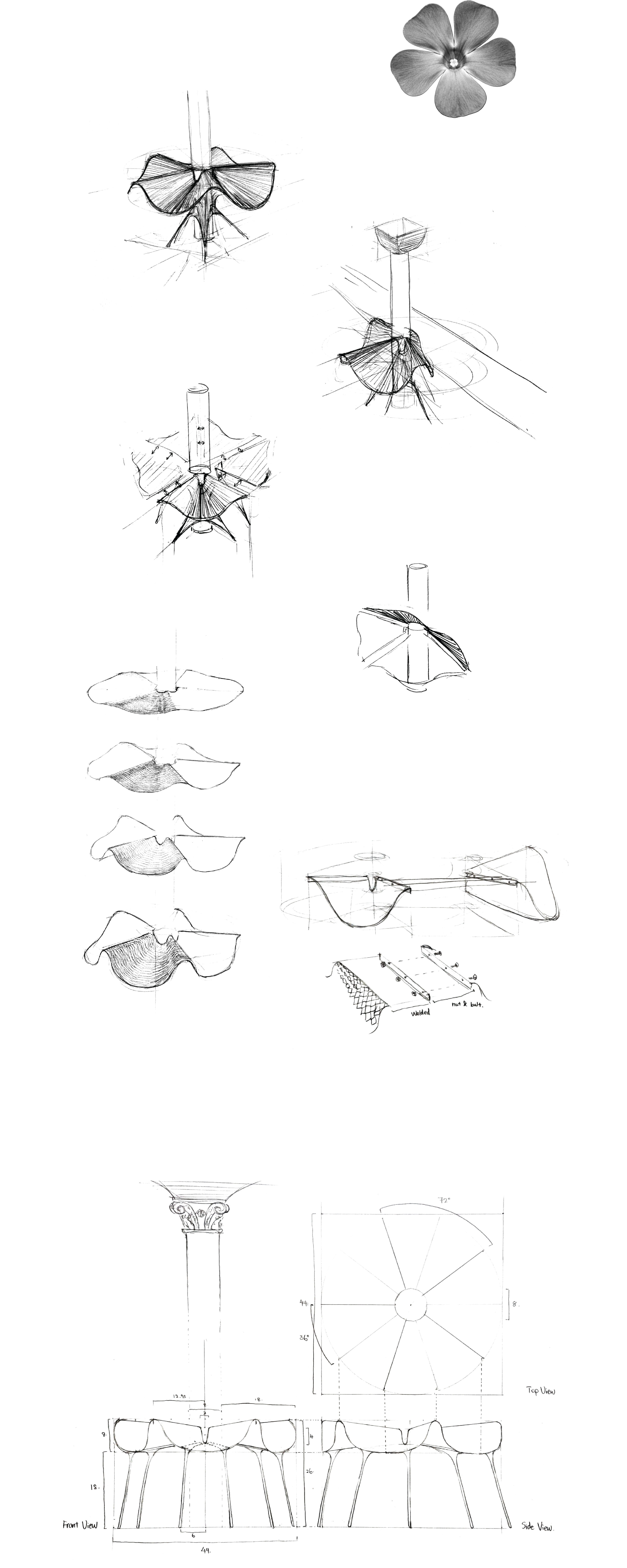 Sketches